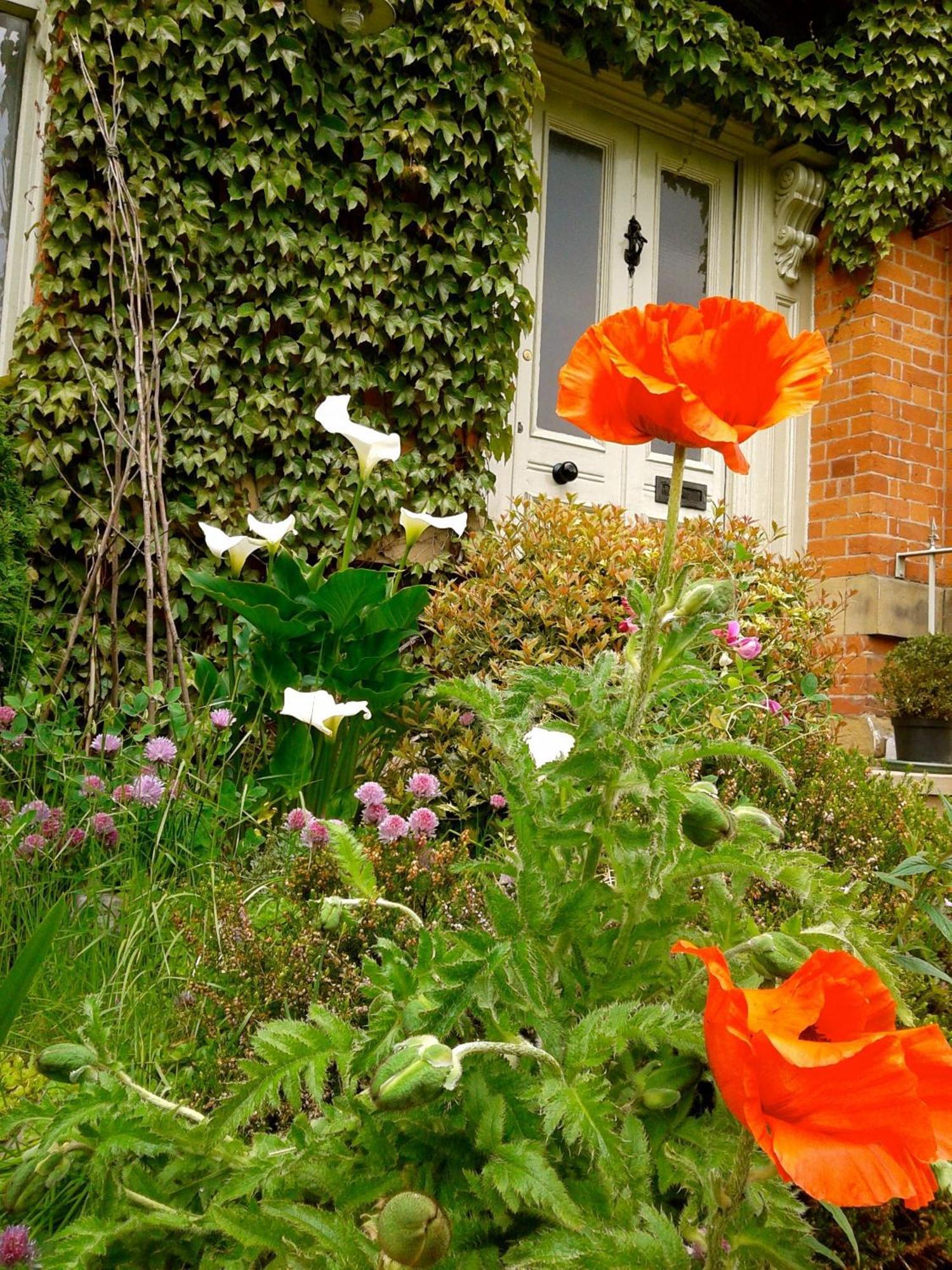 Cornerstones Guest House Sale Extérieur photo